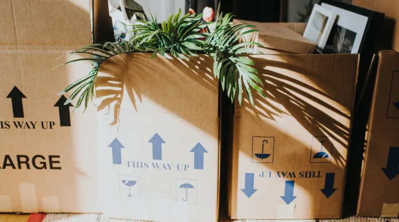 We moved from California to Texas for a cheaper lifestyle. We disliked almost everything else, and are moving back.