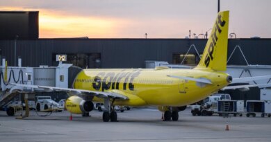 We'll take it: a TikToker rallies pledges to buy Spirit Airlines after its abrupt weekend collapse | TechCrunch