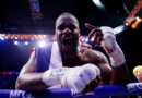 ‘Best fight’: Dubois stops Wardley to win WBO heavyweight boxing title