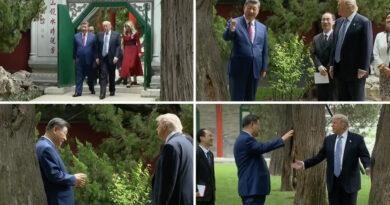 ‘For Example, Putin’: How Xi Used a Private Garden Walk to Charm Trump