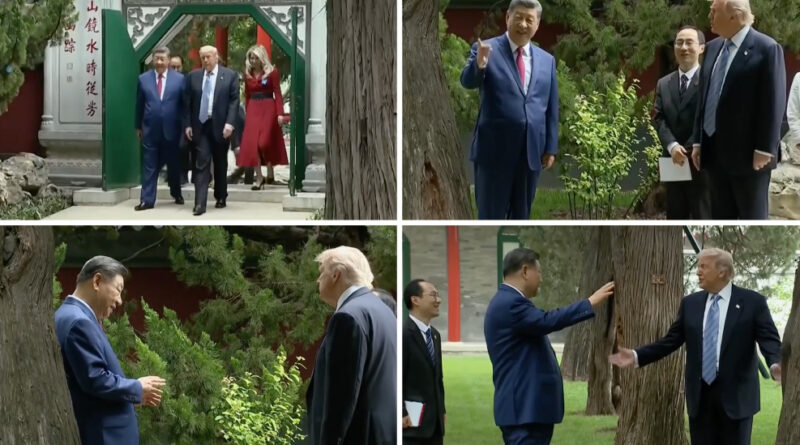 ‘For Example, Putin’: How Xi Used a Private Garden Walk to Charm Trump