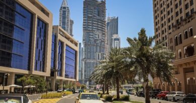 'The Donald of Dubai': property tycoon seeks to become data king