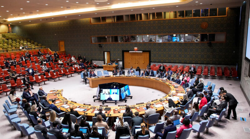 Austria, Portugal, Trinidad and Tobago and Zimbabwe elected to UN Security Council