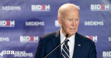Joe Biden speaks in February