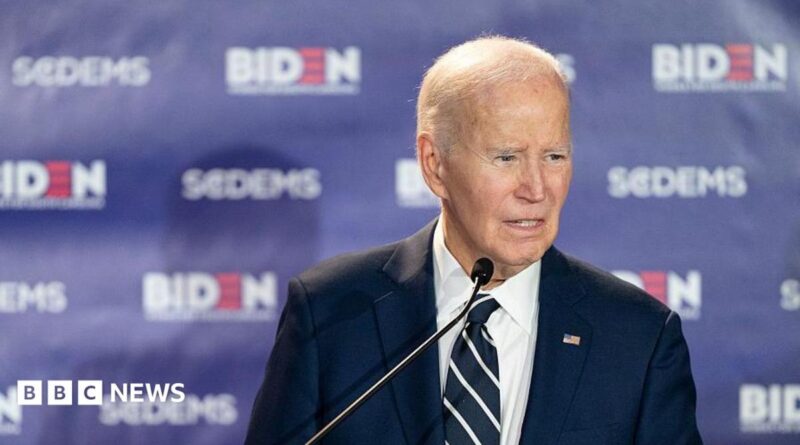 Joe Biden speaks in February