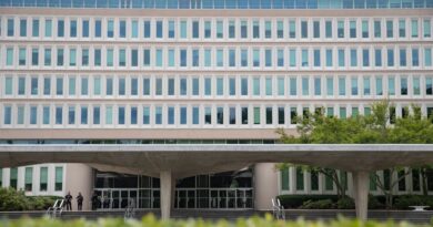 C.I.A. Officer Found With Gold Bars Said to Have Created Fake Spy Program