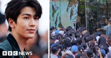 China: Fans break glass door trying to see Netflix star