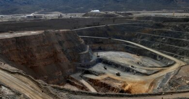 China adds 10 US firms, including rare-earth miner, to export control list