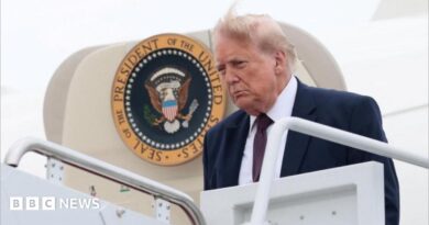 Donald Trump President of the United States of America US on his arrival ahead of a dinner with the President of the French Republic and his wife organised to celebrate the 250th anniversary of the independence of the United States at the Chateau de Versailles in Versailles France on June 17, 2026.