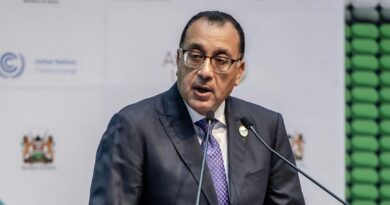 Egypt Does Not Need New IMF Program, Prime Minister Says