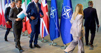 European leaders pledge unity after recent tensions ahead of NATO summit