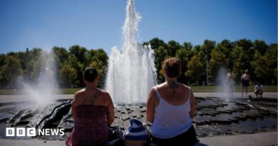 Two women look at a fountain on a sunny day with their backs to the camera