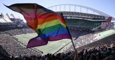 FIFA rejects Egypt, Iran objections, allows Pride flags at World Cup match