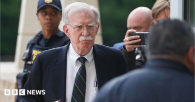 John Bolton arrives in court on Friday