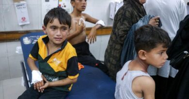 Gaza ceasefire a 'deadly illusion': UNICEF