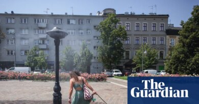 Germany, Czechia, Poland and Hungary swelter through hottest days on record
