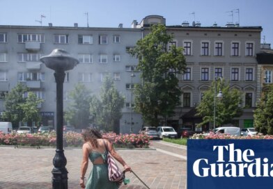 Germany, Czechia, Poland and Hungary swelter through hottest days on record
