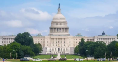 Golden domes, historic statues, and nods to state flags: What the capitol looks like in every state