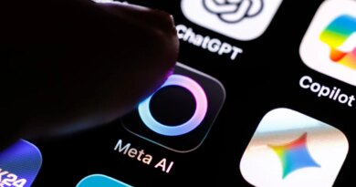 The logo of the Meta AI app can be seen on the display of a smartphone.