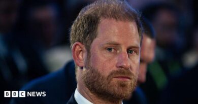Prince Harry, Duke of Sussex, delivers a speech during the Kyiv Security Forum on 23 April 2026 in Kyiv, Ukraine. 