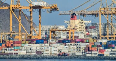 Hormuz ship traffic climbs after war deal: trackers