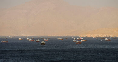 Hormuz strait will be open but with transit fees, Iran envoy to Moscow quoted