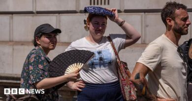 A woman fans herself as another shelters from the sun as they wait to take a picture in front of a phone box in Parliament Square. In front of them is a man wearing a beige top.