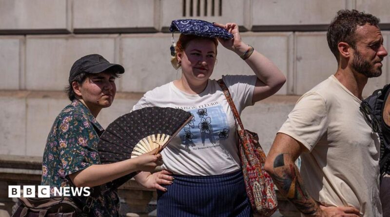 A woman fans herself as another shelters from the sun as they wait to take a picture in front of a phone box in Parliament Square. In front of them is a man wearing a beige top.