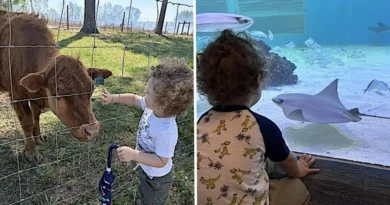 I thought we'd avoided the 'terrible twos,' but I was wrong. A weekly fun-day helps.