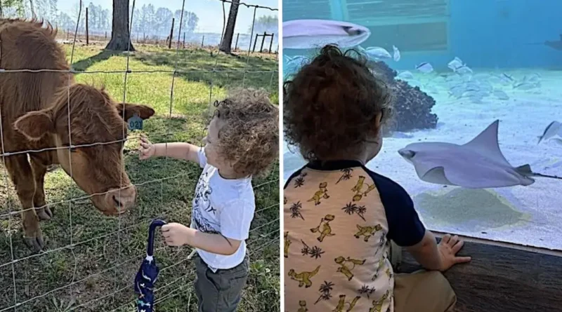 I thought we'd avoided the 'terrible twos,' but I was wrong. A weekly fun-day helps.