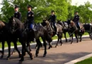 Inside the Army's $30 million effort to revamp its funeral horse program after a series of horse deaths