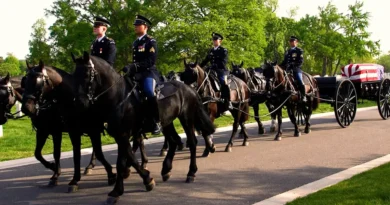 Inside the Army's $30 million effort to revamp its funeral horse program after a series of horse deaths