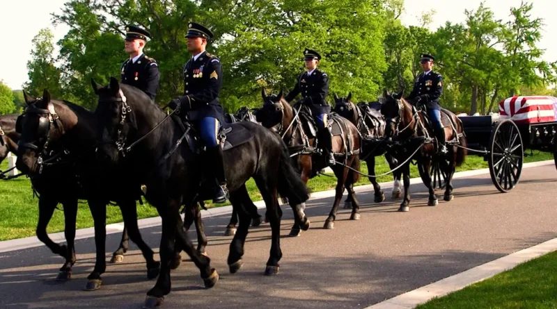 Inside the Army's $30 million effort to revamp its funeral horse program after a series of horse deaths