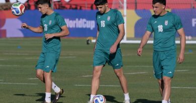 Iranian forward gets US visa for World Cup: team official