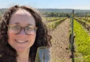 I'm a certified sommelier. These 4 underrated European wine regions belong on your travel bucket list.