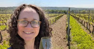 I'm a certified sommelier. These 4 underrated European wine regions belong on your travel bucket list.