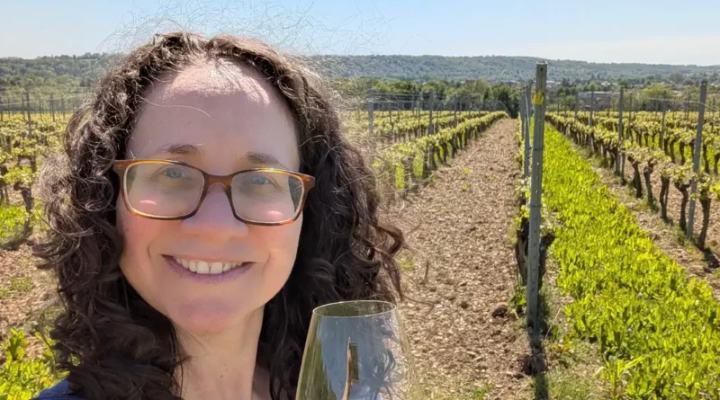 I'm a certified sommelier. These 4 underrated European wine regions belong on your travel bucket list.