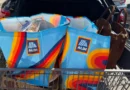 I'm a single woman who grew up shopping at Aldi. Here are 11 items I always add to my cart.