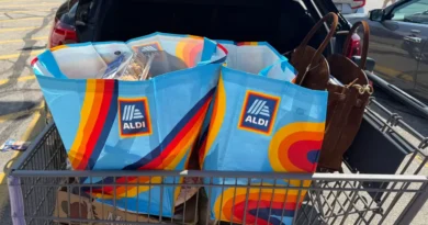 I'm a single woman who grew up shopping at Aldi. Here are 11 items I always add to my cart.