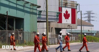 A Canadian national flag is seen in the background as seven workers dressed in orange work suits and white hard hats cross the street in front of ArcelorMittal Dofasco's steel manufacturing buildings in Hamilton, Ontario.