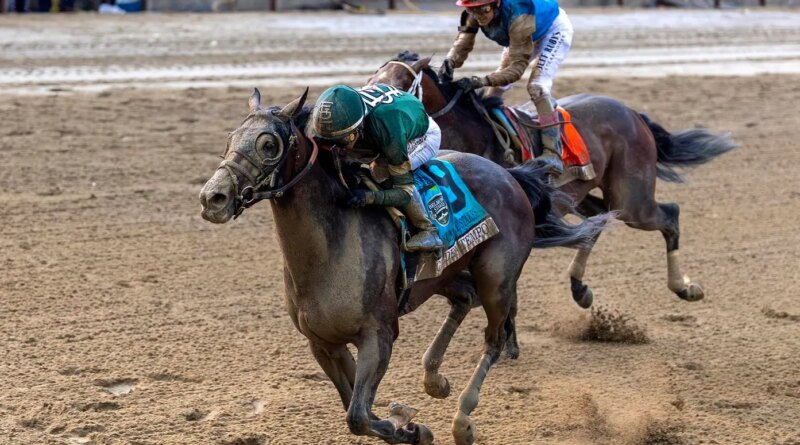 Kentucky Derby And Belmont Wins Have Golden Tempo As Top 3-Year-Old