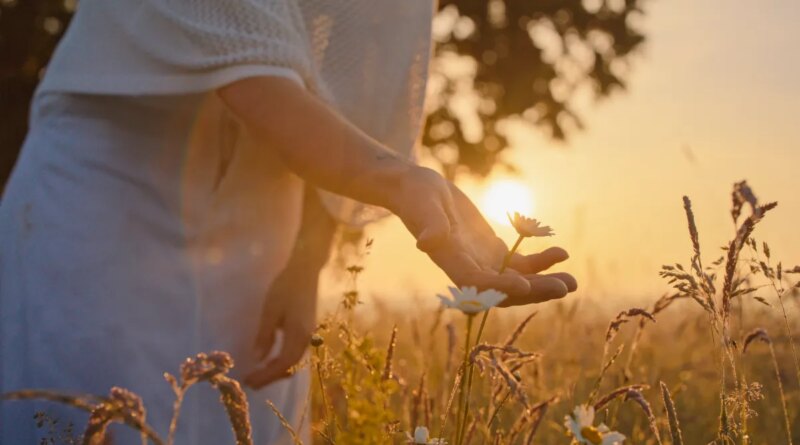 Serene Outdoor Moment with Woman and Wildflowers at Dusk