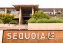 Sequoia, venture capital, startups, VC