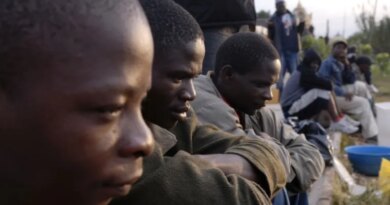 Xenophobic attacks