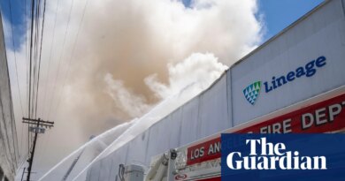 Newsom declares state of emergency for LA as firefighters battle warehouse blaze