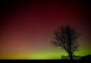 Northern Lights Alert: These 8 States Could See Aurora Borealis Tonight