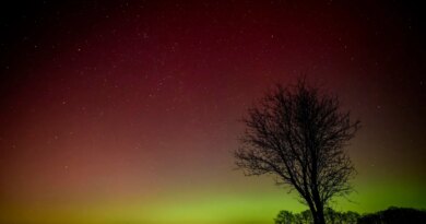 Northern Lights Alert: These 8 States Could See Aurora Borealis Tonight