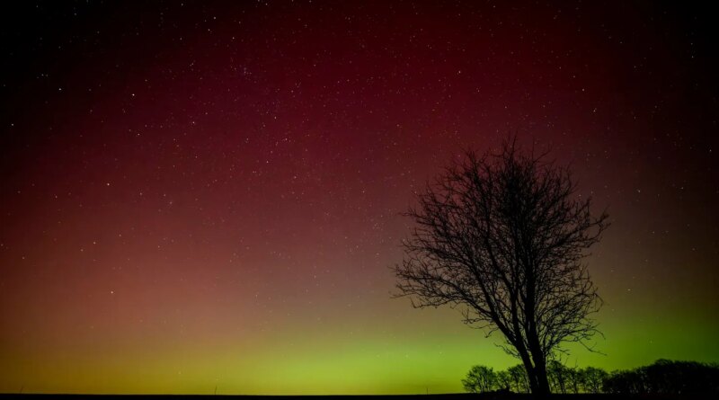 Northern Lights Alert: These 8 States Could See Aurora Borealis Tonight