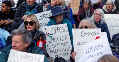 Palestine Action activists could face UK ‘terror’ sentences: What we know