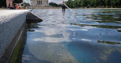 Reflecting Pool Repairs Will Begin ‘Immediately,’ Trump Says